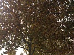 -济南国际园博园