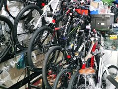 -道路口单车爱瓦士dahon大行