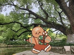 -西溪国家湿地公园