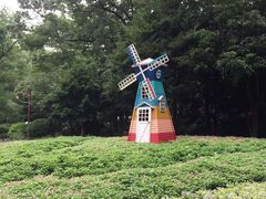 -上海共青森林公园