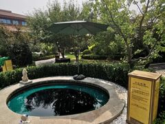 -大连金石滩绿发温泉假日酒店