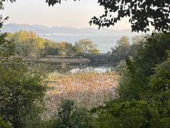 -上海市保健医疗中心