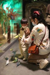 -酷嗒动物文化乐园(cutezoo西溪乐天城店)