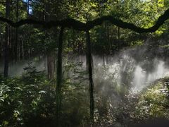 -帽儿山风景区