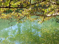 -阿哈湖国家湿地公园