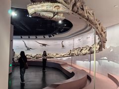 -自贡恐龙博物馆