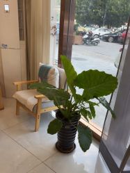 -慈蕊美容养生·专业经络调理