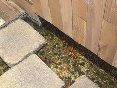 -邈墨茶馆(凤起路店)