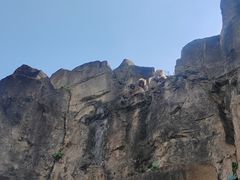 -海南热带野生动植物园