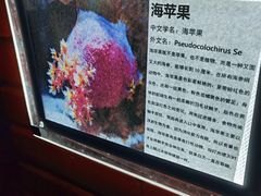 -太平洋海底世界