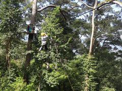 -清迈丛林飞跃 JungleFlight