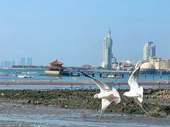 -栈桥景区