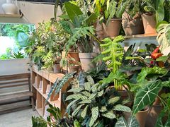 -自由生长植物工作室(深港花卉中心店)