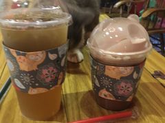 -猫色咖啡·猫咖