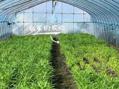 -小乡小镇·传承桐庐土菜·老板亲自烧的菜