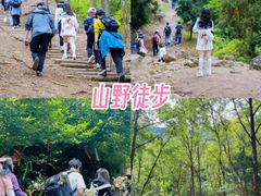 -天适樱花悠乐园