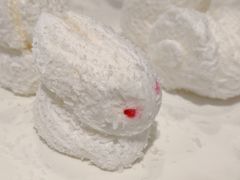 棉花白兔仔-鸿星海鲜酒家(格兰中心店)