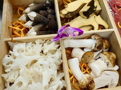 -生活如沸·顺德水牛奶火锅(大学路店)