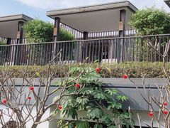 -明谷行馆·温泉