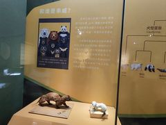 -深圳博物馆历史民俗馆