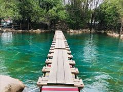 -大鹅岛绿色生态美食园