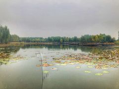 -东郊湿地公园