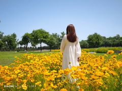 -汉长安城未央宫国家考古遗址公园