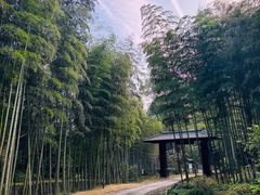 -黄公望隐居地