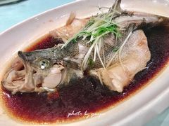 清蒸鱼-一品滇香·云南菜(公益西桥店)