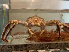 -甄御•海鲜新青岛菜(麦岛店)