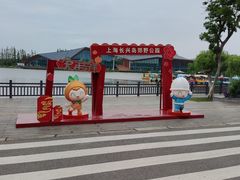 -上海长兴岛郊野公园