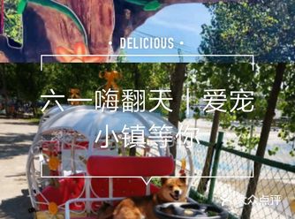 六一快乐｜爱宠小镇等你