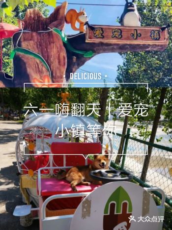 六一快乐｜爱宠小镇等你