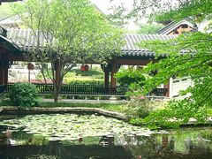 -广东花都湖国家湿地公园