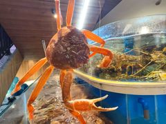 -黑木原精致料理·铁板烧
