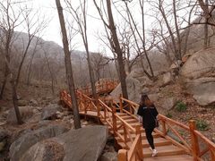 -大岭沟猕猴桃谷风景区
