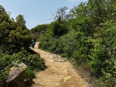 -灵岩山风景区