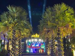 -三亚海昌梦幻海洋不夜城