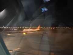 -约翰·菲茨杰拉德·肯尼迪国际机场