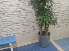 -小蓝鲸游泳培训基地(积水潭店)