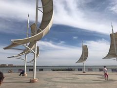 -包头南海湿地景区