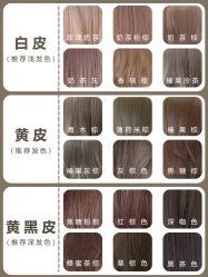 -蚂蚁造型俱乐部