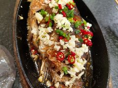 -老黑板筋(顺义总店)