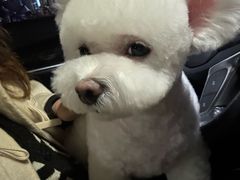 -宠物家(长阳店)