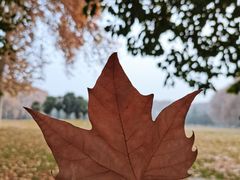 -河南省黄河迎宾馆