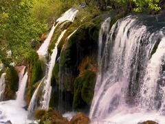 -九寨沟-树正沟