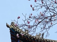 -碑林公园