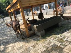 -长白岛森林公园