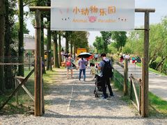 -前小桔亲子创意农场·草莓采摘·露营烧烤