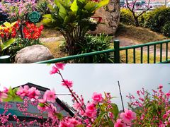 -桃花岛风景旅游区
